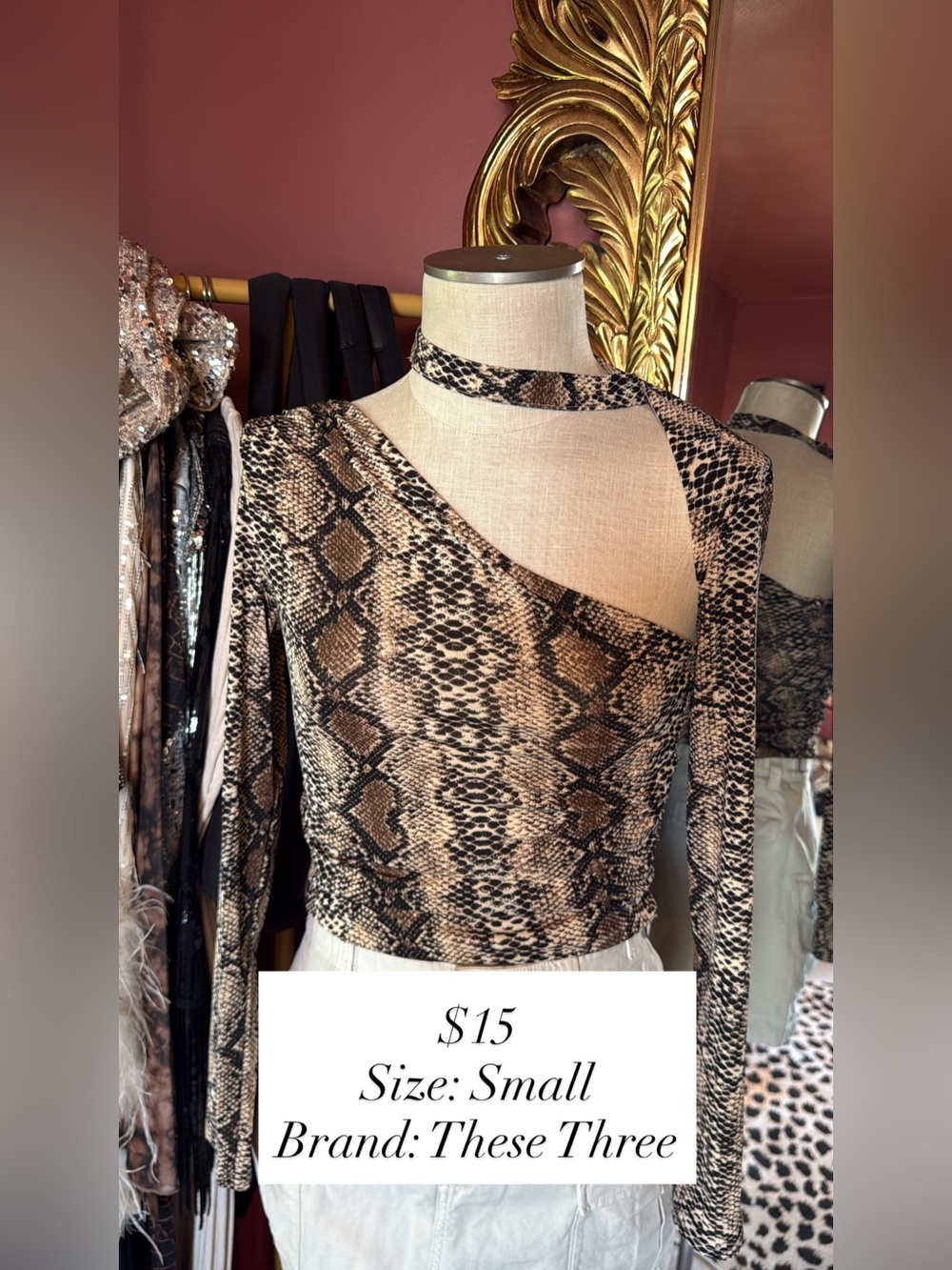 These Three Snake Print One-Shoulder Top in Brown